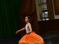 DSC 4227